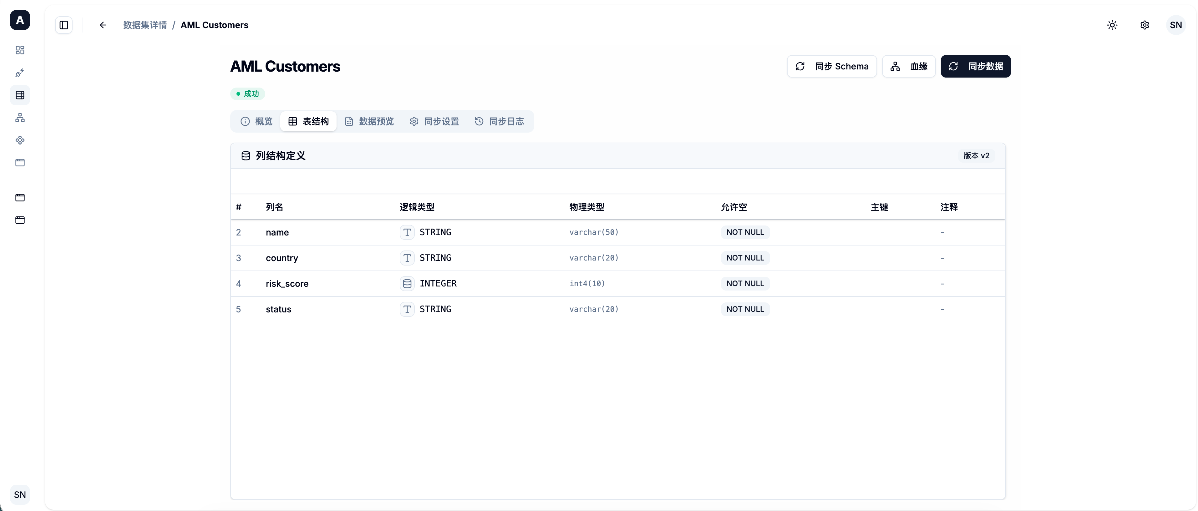 数据集 Schema 详情